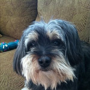 Meet your Posher, Madelyn